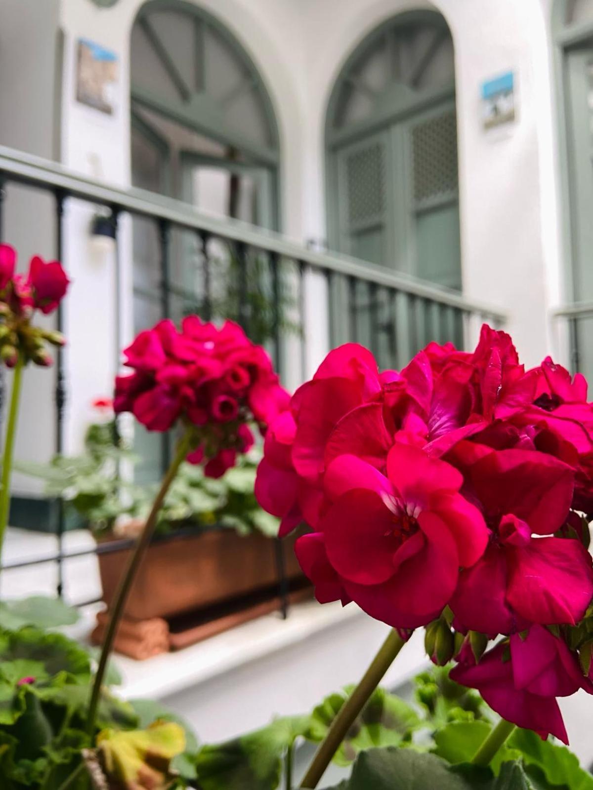 La Gitanilla Alojamiento con Encanto Jerez de la Frontera Exterior foto